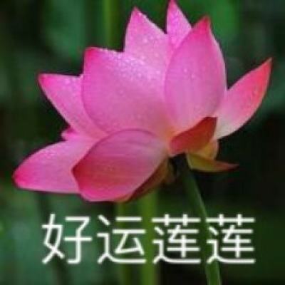 秀我中国｜大年初三赏西藏传统马术表演